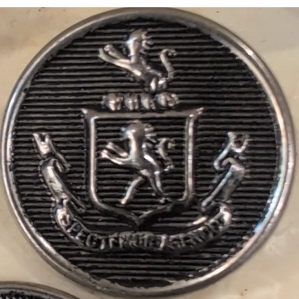 Vogue Original Buttons on Card "Spectemur Agendo" Silver Lion Crest Lot of 5 VTG - Picture 1 of 2